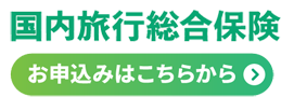 国内旅行